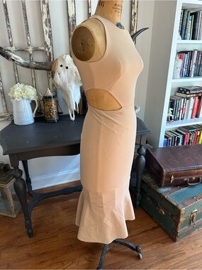 Stunning Greta Constantine Sleeveless TanCutout Mermaid Dress -Small